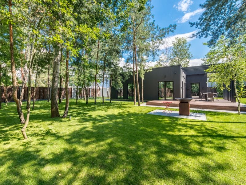 Freshly mowed lawn in dappled shade under tall trees behind a house